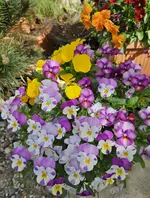 20241001_012457.webp