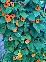 IMG_20240914_132633.webp