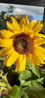 20240927_162932.webp