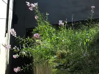 2024Gelenk2.webp