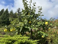 IMG_6489.jpeg