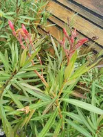 IMG_20241003_154941.webp