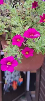 20241003_152032.webp