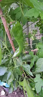 20241003_151859.webp
