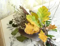 015.webp