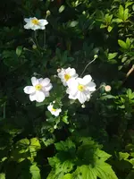 IMG_20230823_123002.webp