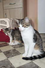 DSC05842.JPG