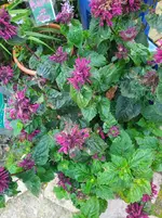 IMG_20230824_131700.webp