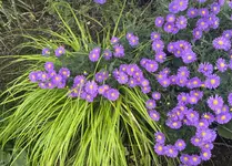 IMG_6530.webp
