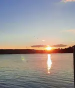 20241005_183754.webp