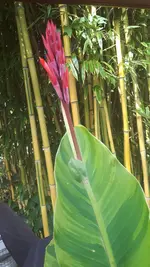 20241008_145428.webp