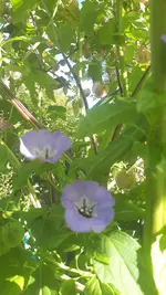 20241008_144141.webp