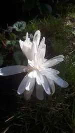 20241008_141940.webp