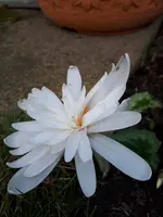 20241007_125612.webp