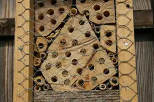 Insektenhotel0618.webp