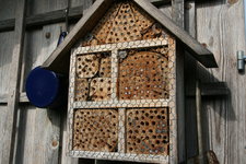 Insektenhotel0819.JPG