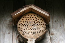 Insektenhotel0919.JPG