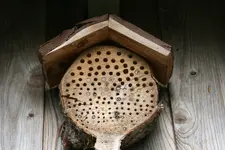 Insektenhotel0919.webp