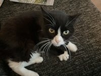 IMG_0727.jpeg