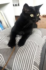 IMG_0457.jpeg
