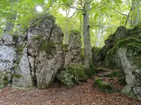 IMG_20241012_140919_1.webp