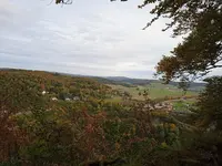 IMG_20241012_141119_1.webp