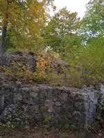 IMG_20241012_141223.webp