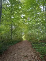 IMG_20241012_141950_1.webp