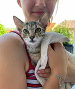 IMG-20190827-WA0007.webp