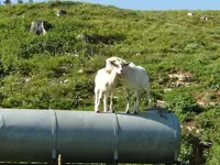 DSCF2821.webp