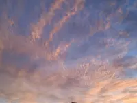 IMG_20241013_184543.webp