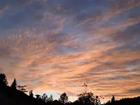 IMG_20241013_184548_1.webp