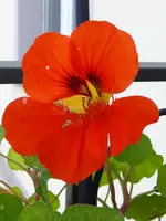 023.webp
