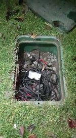 VideoCapture_20241014-205206.jpg