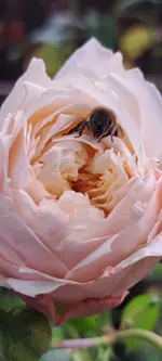 20241016_151150.webp