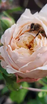 20241016_151208.webp