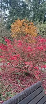 20241017_165615.jpg