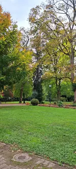 20241017_162313.jpg