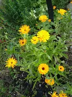 IMG_20241017_162534_1.webp