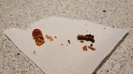 IMG_20241017_181822.webp IMG_20241017_181822.webp