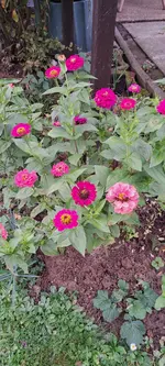 20241018_162239.webp