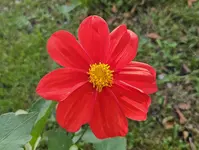 20241020_140219.webp