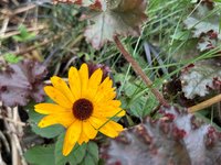 IMG_5853.jpeg