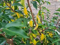 20241020_171525.webp