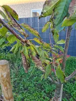 20241019_172431.webp