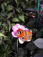 20240821_102359.webp