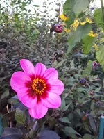 20240927_123711.webp