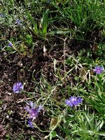 IMG_20241021_132130_1.jpg