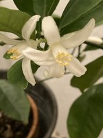 IMG_8224.jpeg