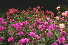 IMG_1389.webp